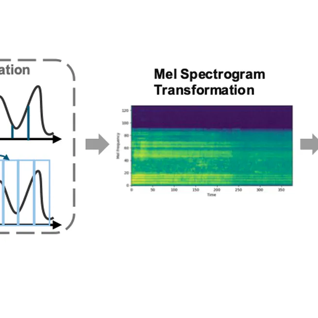 GeHirNet: A Sex-Aware Hierarchical Model for Fair and Accurate Voice Pathology Classification